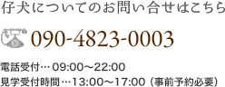 仔犬についてのお問い合せはこちら 029-784-6995 電話受付…09:00～22:00 見学受付時間…10:00～17:00（事前予約必要）