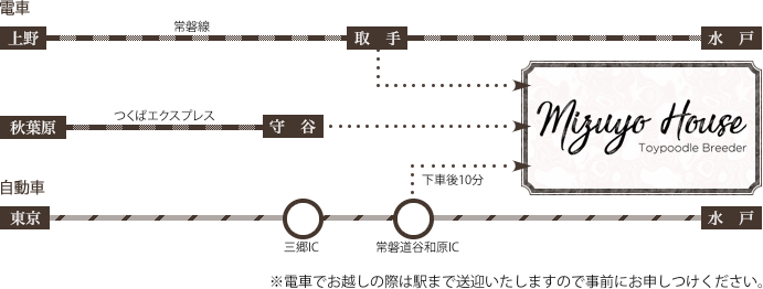 アクセスマップ