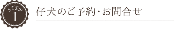 仔犬のご予約・お問い合わせ