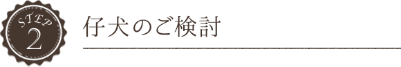 仔犬のご検討