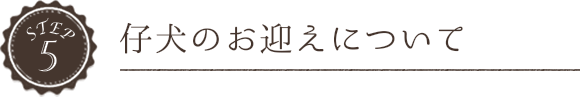 仔犬のお迎えについて