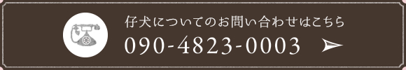 仔犬についてのお問い合わせはこちら tel:09048230003