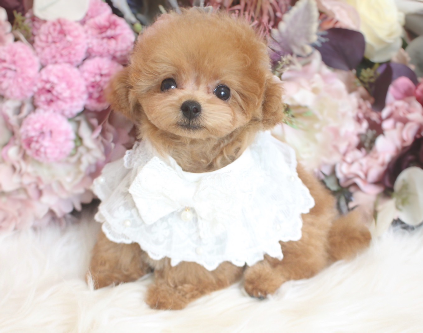 ５月２６日生まれ　マイクロ予想01