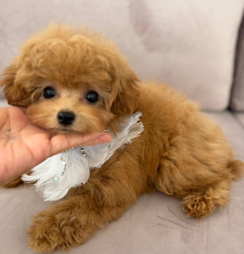 2025.11.23女の子5001