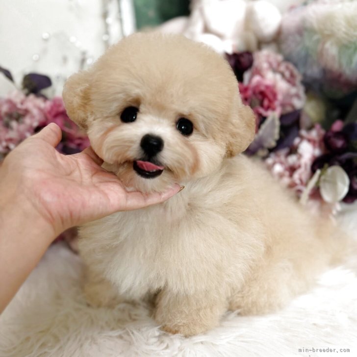 3月19日生まれの激かわの男の子♡01